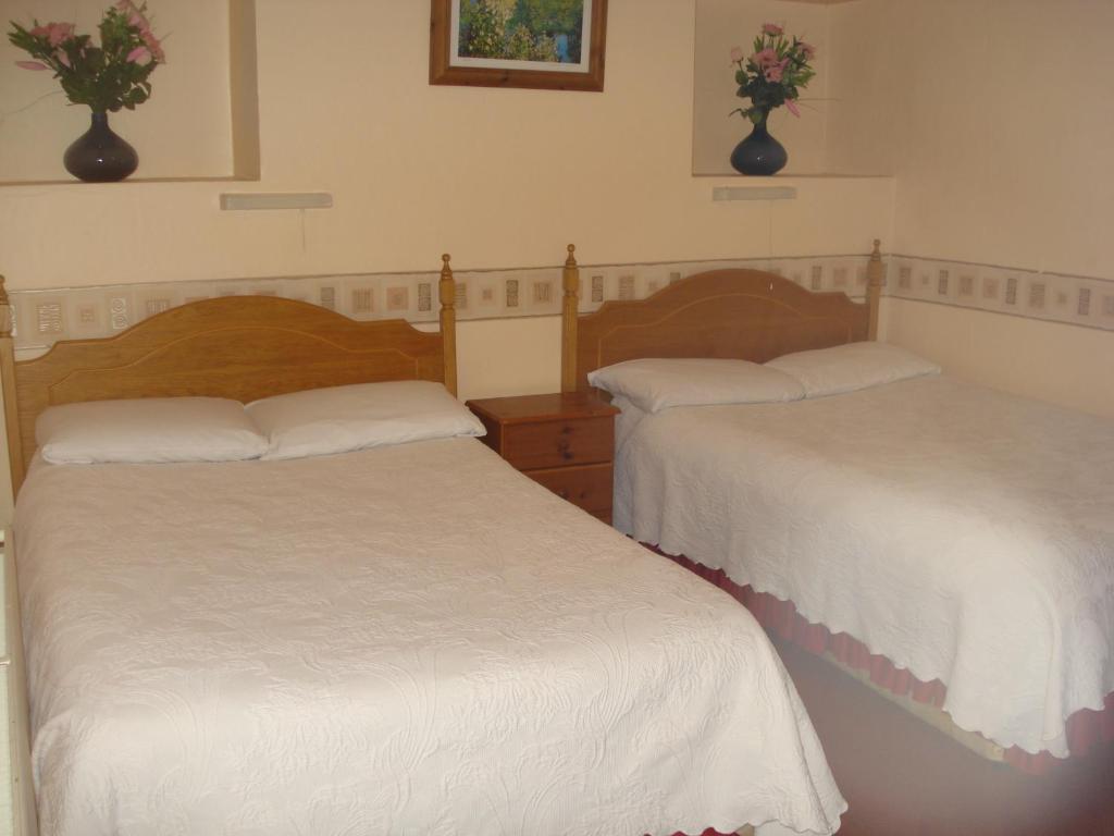 St. George Guest House COUNTY WEXFORD Exterior photo